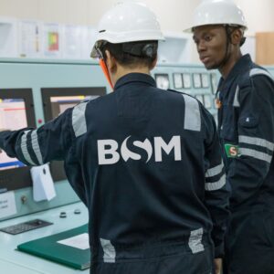BSM2