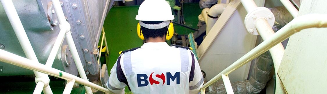 BSM5