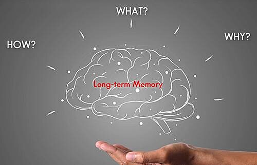 Cognitive Skills - Seafarer Memorization Training (Maritime)
