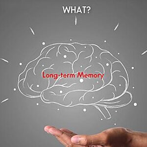 Cognitive Skills - Seafarer Memorization Training (Maritime)