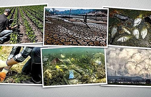 Environmental Awareness Training
