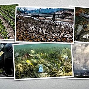 Environmental Awareness Training