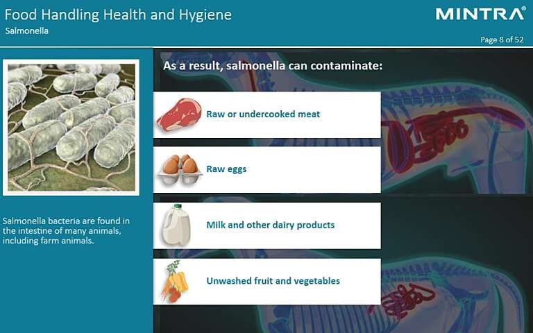 Food Handling Introduction to Health and Hygiene Maritime Training 3