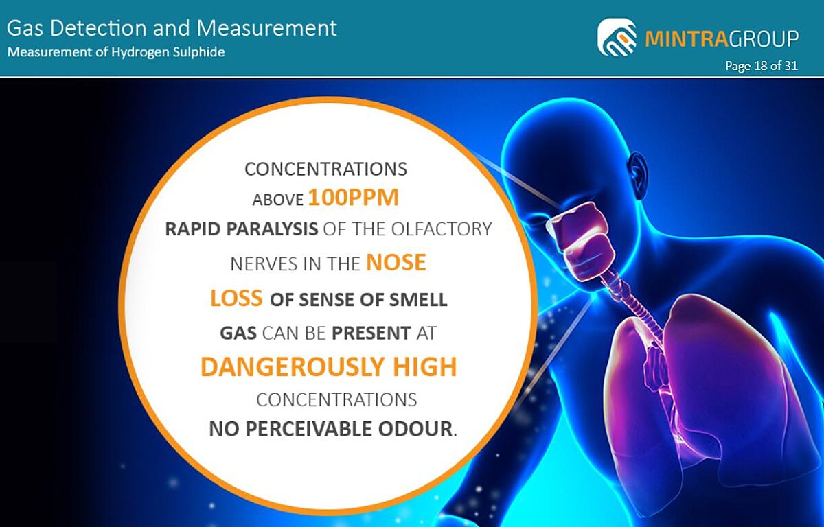 Gas Detection and Measurement Training