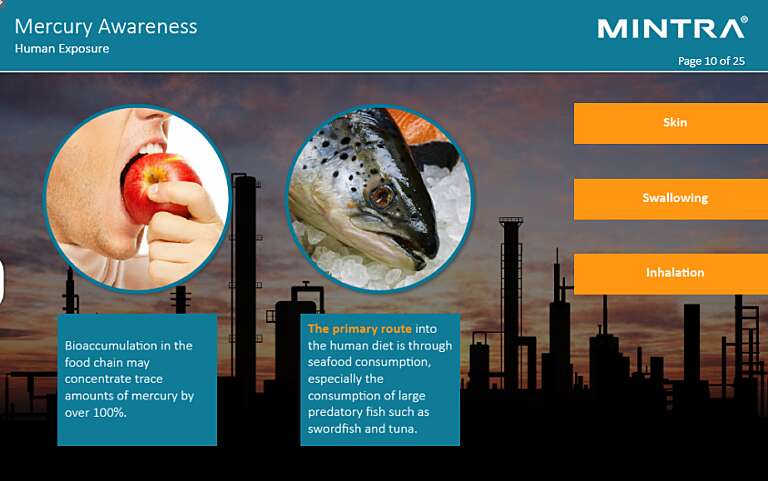 Mercury Awareness Training 4