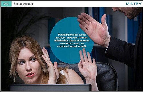 MGM 059 Prevention of Violence and Harassment Image 3