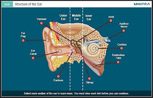 Noise at Work Online Training 3