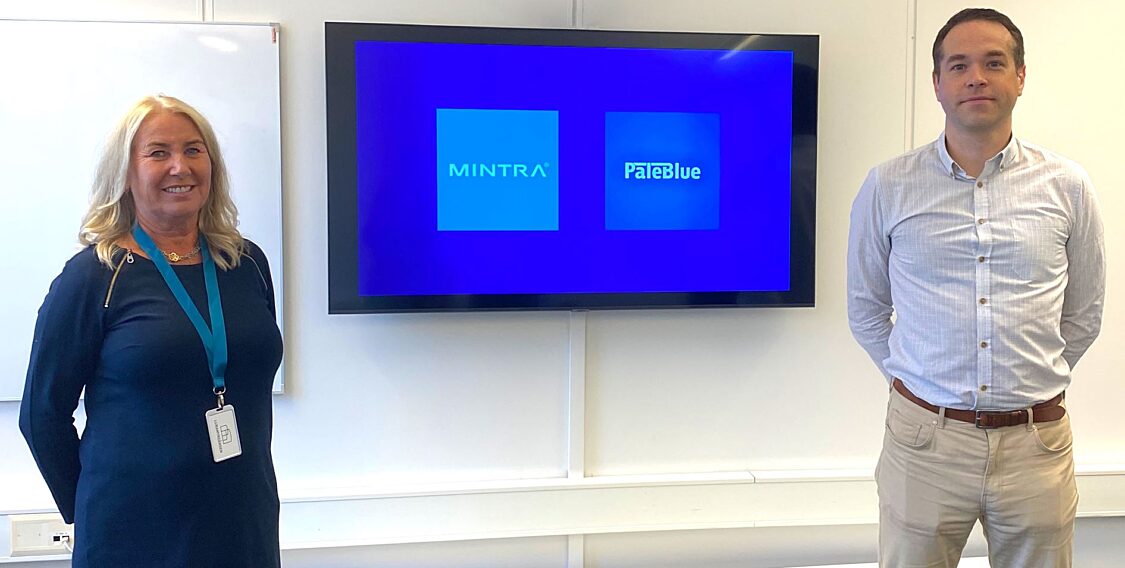 Paleblue 4