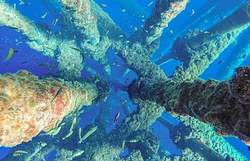 Subsea Infrastructure Decommissioning Training