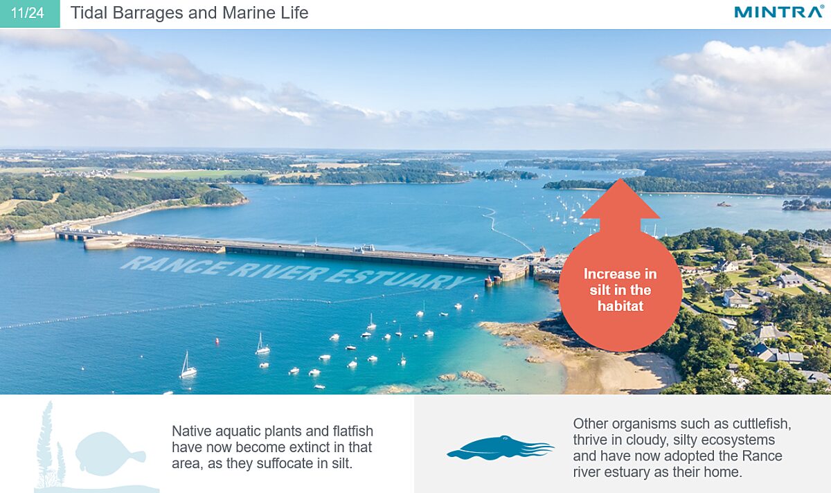 Tidal Energy 4