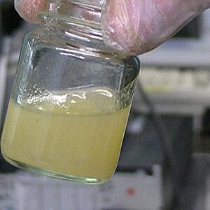 Wax Formation and Control Training