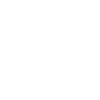 DNV Light accreditor logo