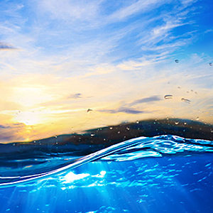 Introduction to Environmental Management Training 1