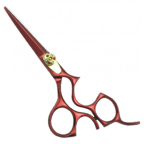 Professional Razor Shears