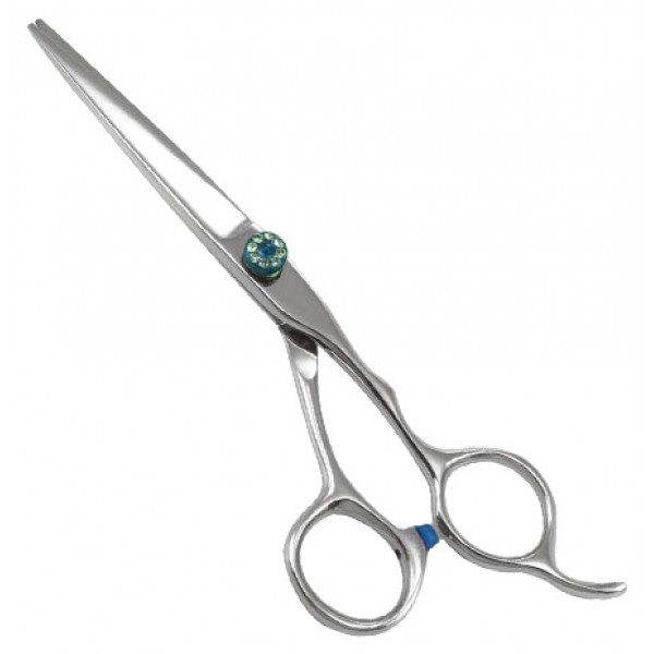 Professional Razor Shears