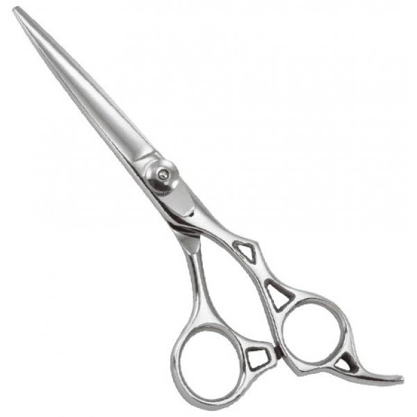 Professional Razor Shears