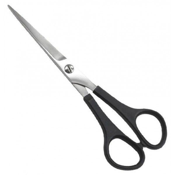 Barber Shears