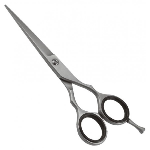 Professional Barber Shears