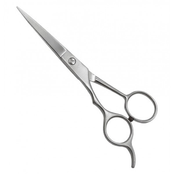 Professional Barber Shears