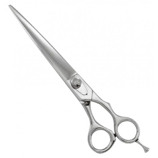 Professional Barber Shears