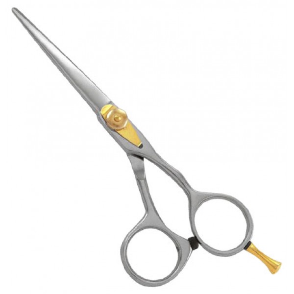 Professional Light Weight Shears