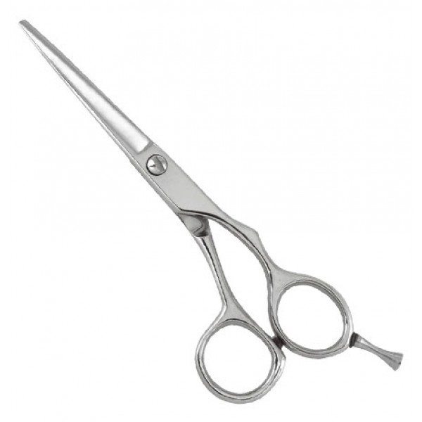 Professional Razor Edge Shears