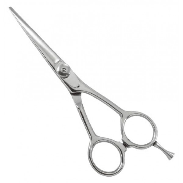 Professional Razor Edge Shears